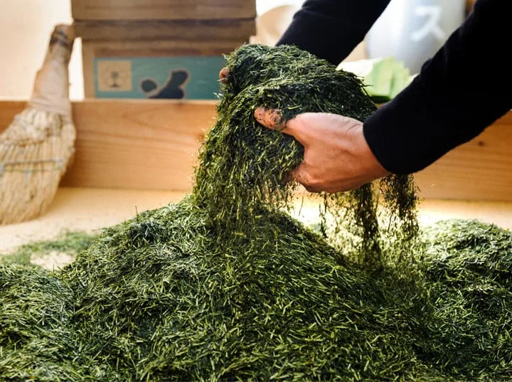 松本園製茶工場のイメージ